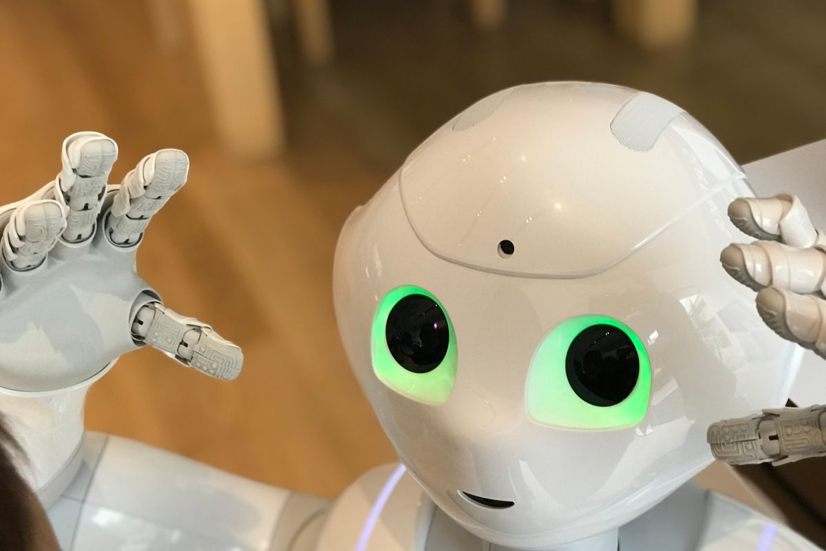 robots.txt Explained: Disallow Rules, Sitemaps and Common Mistakes