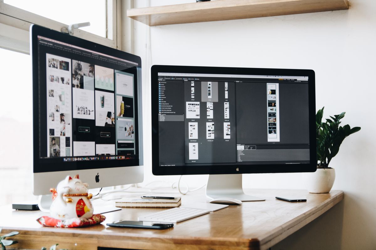 Color Theory for Web Design: How to Choose the Perfect Palette