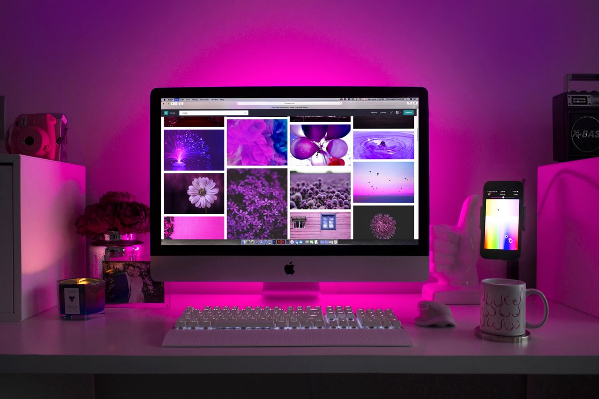 Web Design Service
